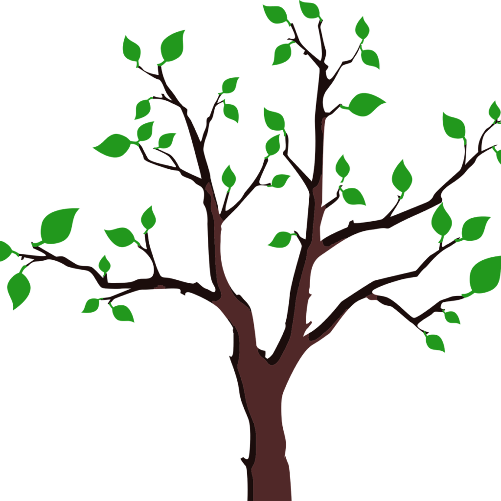 Our Branches